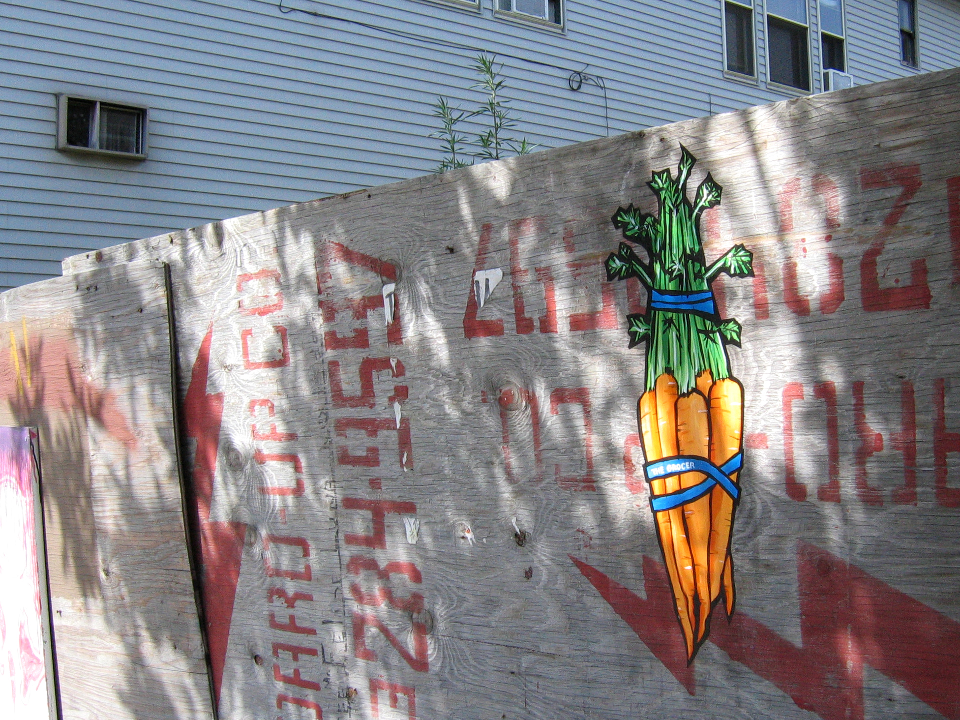 Carrots