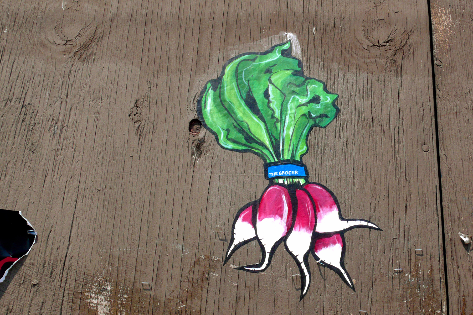 Radishes