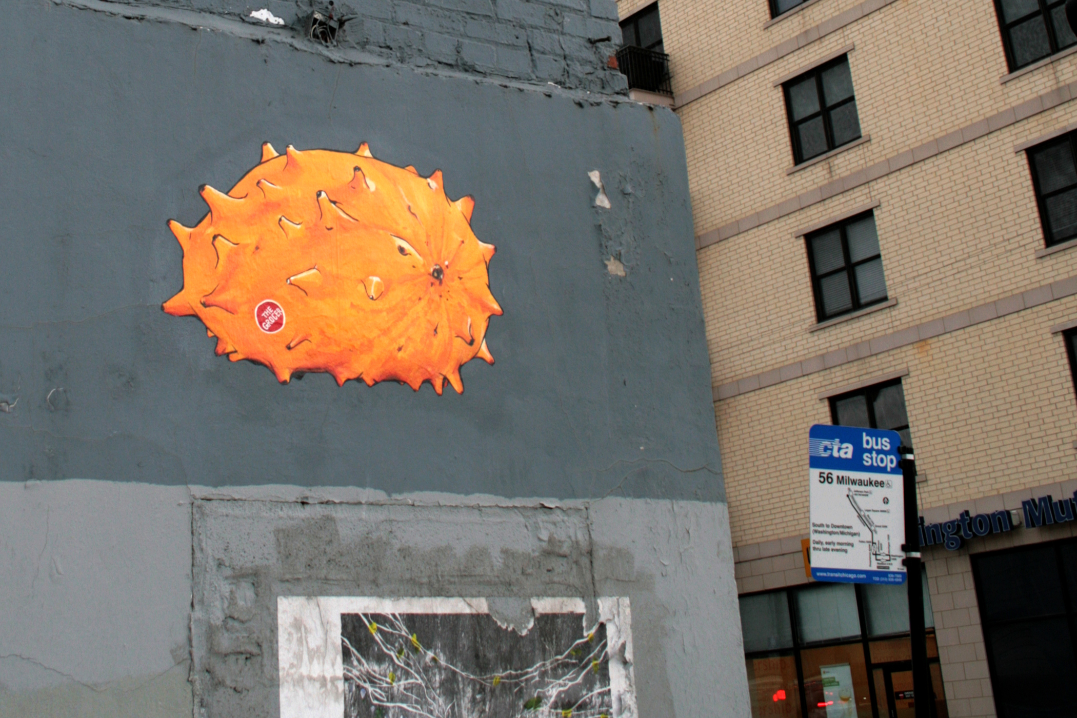 Horned Melon (Kiwano)
